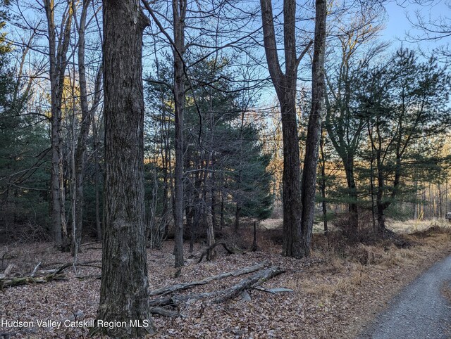 6 Birch Knoll Ln, Olivebridge, NY 12461 - photo 10