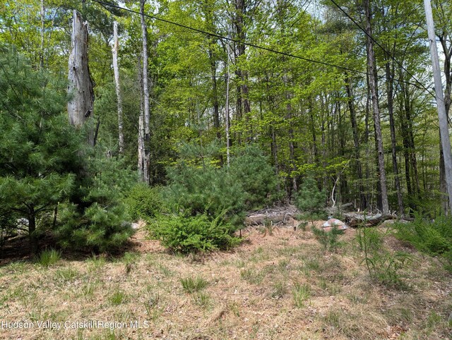 6 Birch Knoll Ln, Olivebridge, NY 12461 - photo 7