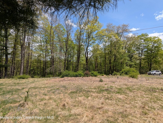 6 Birch Knoll Ln, Olivebridge, NY 12461 - photo 6