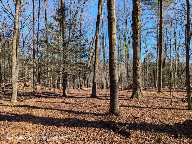 6 Birch Knoll Ln, Olivebridge, NY 12461 - photo 9