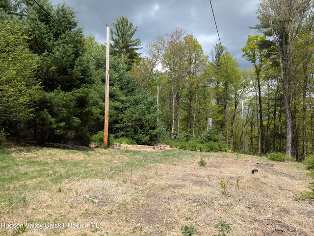6 Birch Knoll Ln, Olivebridge, NY 12461 - photo 4