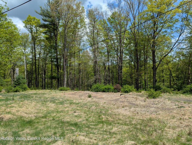6 Birch Knoll Ln, Olivebridge, NY 12461 - photo 1