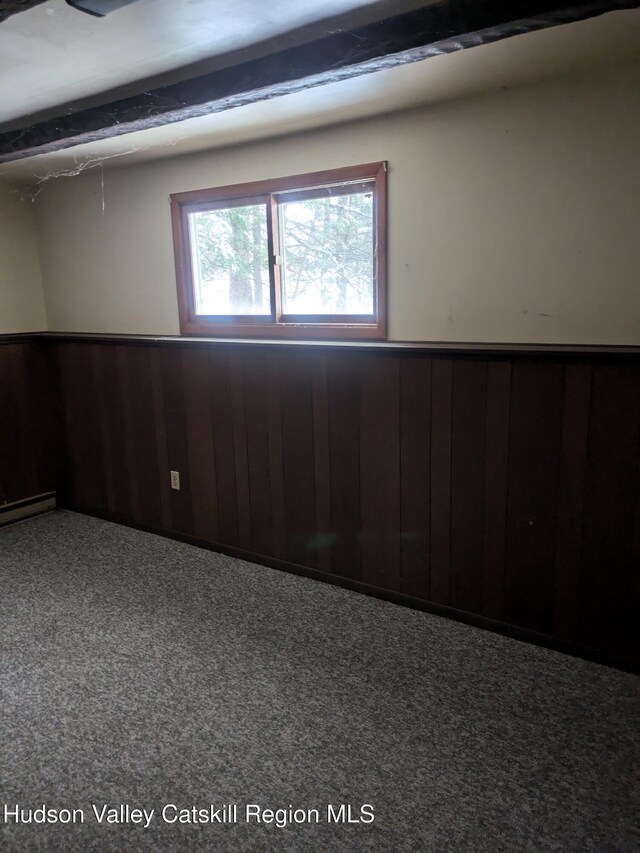 18 Tonche Ter, Shokan, NY 12481 - photo 30