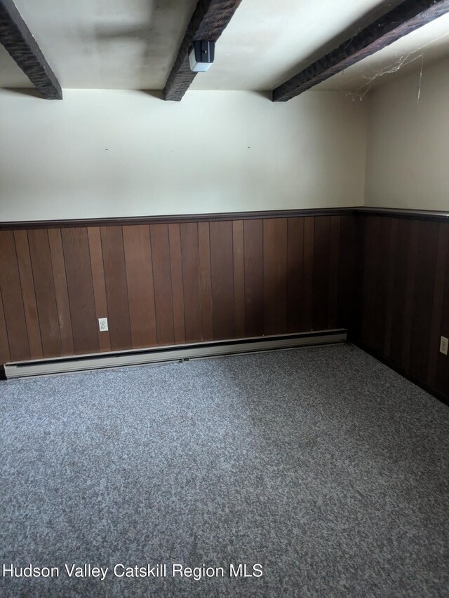 18 Tonche Ter, Shokan, NY 12481 - photo 29