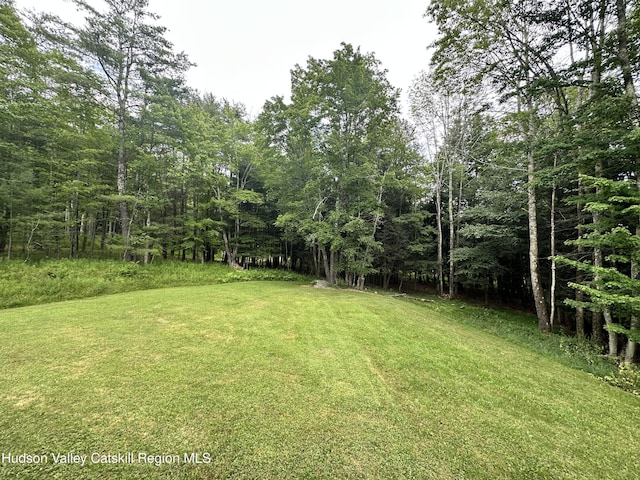 278 Rte 13, Lexington, NY 12468 - photo 21