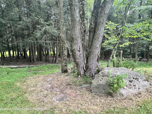278 Rte 13, Lexington, NY 12468 - photo 26