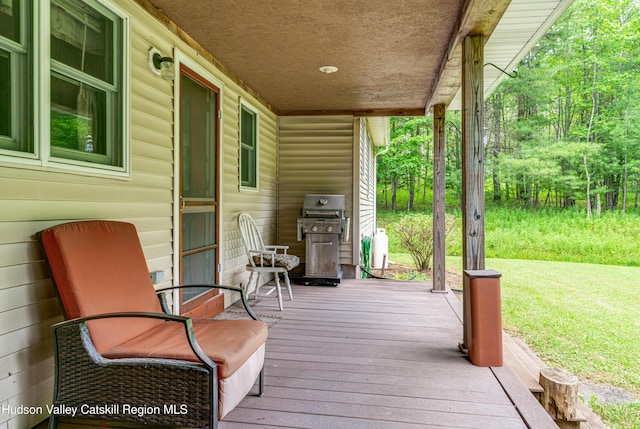 278 Rte 13, Lexington, NY 12468 - photo 20