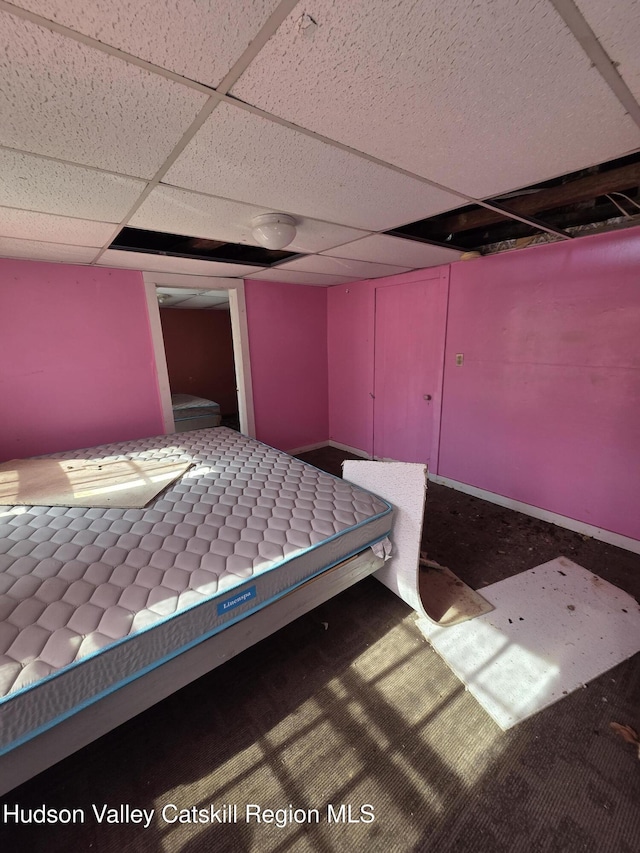 95 Spring St, Catskill, NY 12414 - bedroom featuring a paneled ceiling