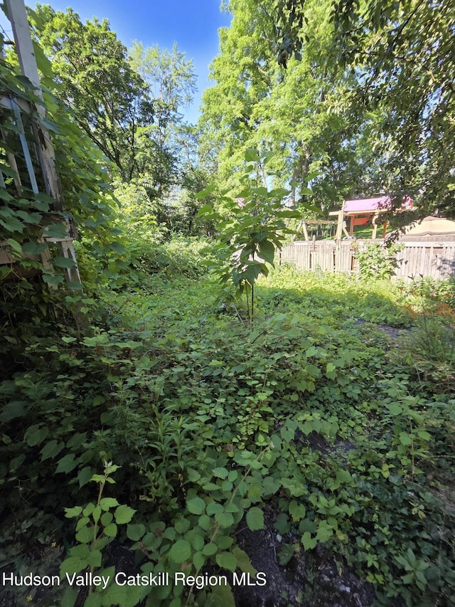 95 Spring St, Catskill, NY 12414 - view of yard