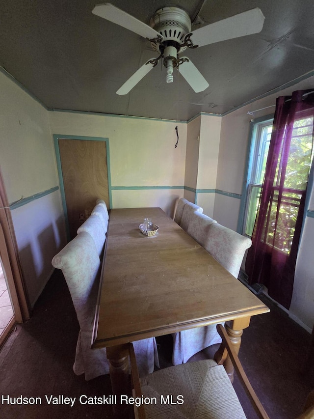 95 Spring St, Catskill, NY 12414 - dining space with a ceiling fan and carpet