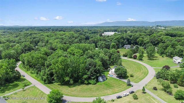 25 Terbar Loop, New Paltz, NY 12561 - photo 27