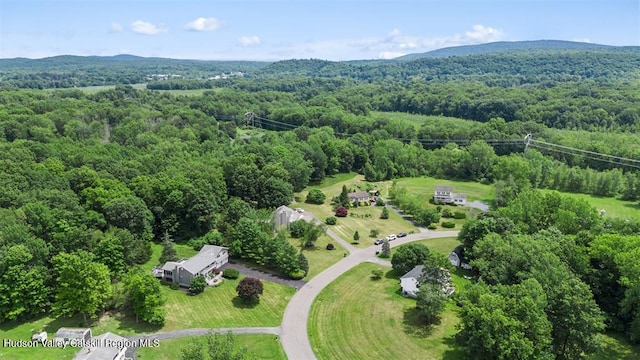 25 Terbar Loop, New Paltz, NY 12561 - photo 29