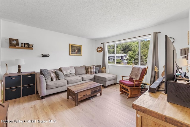 25 Terbar Loop, New Paltz, NY 12561 - photo 10