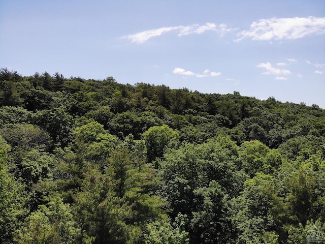 0 Reed Rd, Austerlitz, NY 12017