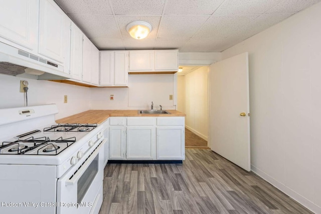 9 Hasbrouck Pl, Kingston, NY 12401 - kitchen featuring white gas range oven, a sink, under cabinet range hood, wood finished floors, and white cabinets