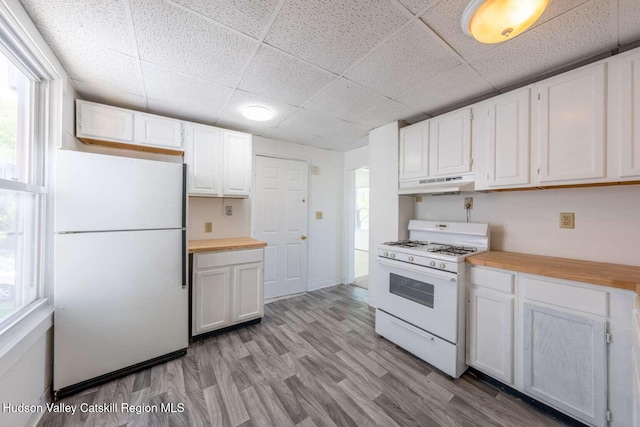 9 Hasbrouck Pl, Kingston, NY 12401 - kitchen featuring white appliances, a drop ceiling, under cabinet range hood, white cabinetry, and light wood-style flooring