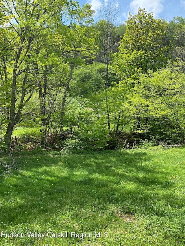 667 W Platner Brook Rd, Delhi, NY 13753 - view of yard featuring a view of trees