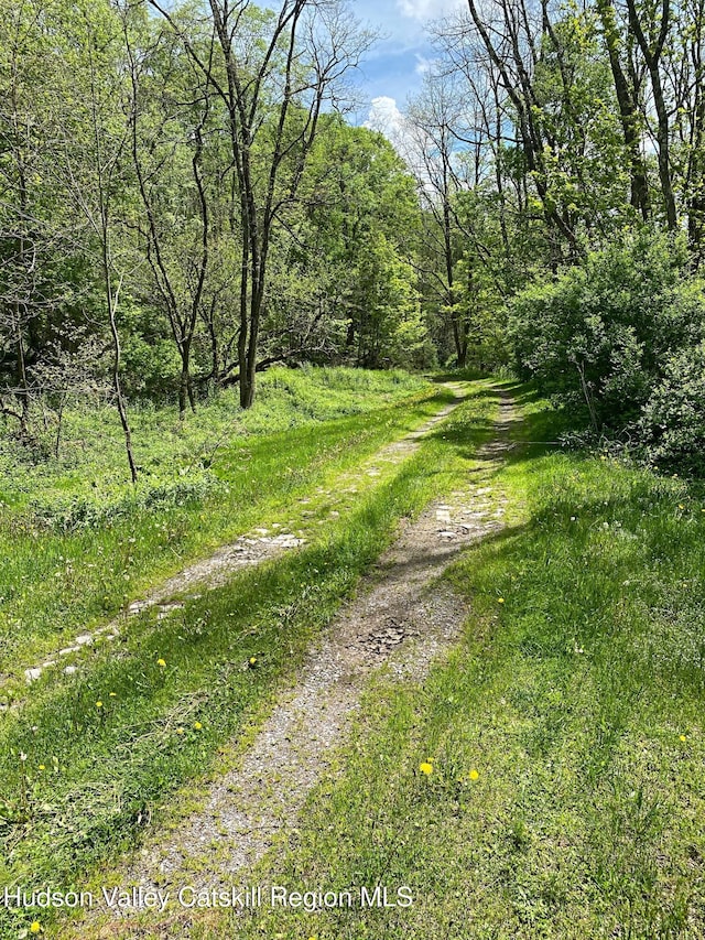 667 W Platner Brook Rd, Delhi, NY 13753 - view of road with a forest view