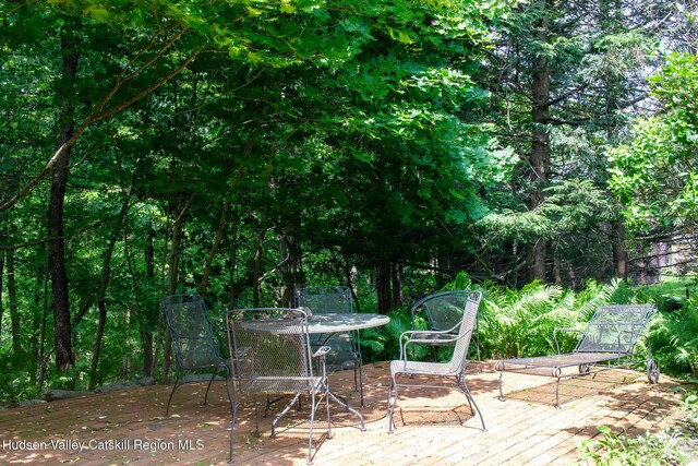 20 Depot Ln, Old Chatham, NY 12136 - photo 4