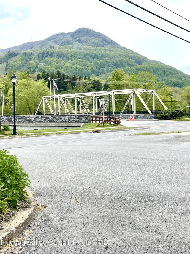 7734 Main St, Hunter, NY 12442 - photo 5