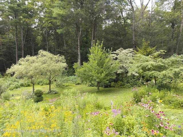 323 Beaverkill Rd, Kingston, NY 12401 - photo 52