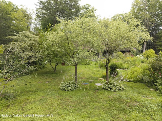 323 Beaverkill Rd, Kingston, NY 12401 - photo 56