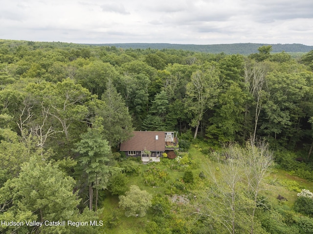 323 Beaverkill Rd, Kingston, NY 12401 - photo 57