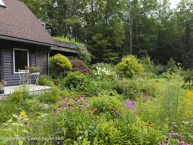 323 Beaverkill Rd, Kingston, NY 12401 - photo 53