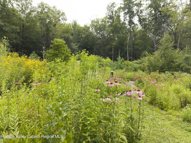 323 Beaverkill Rd, Kingston, NY 12401 - photo 54