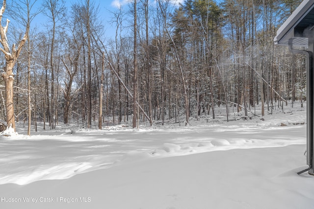 view of snowy yard