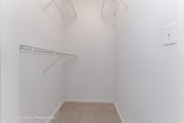 29 Penstock Ln, Lake Katrine, NY 12449 - walk in closet with light carpet