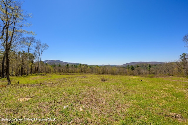0 Mitchell St, Hillsdale, NY 12529 - photo 22