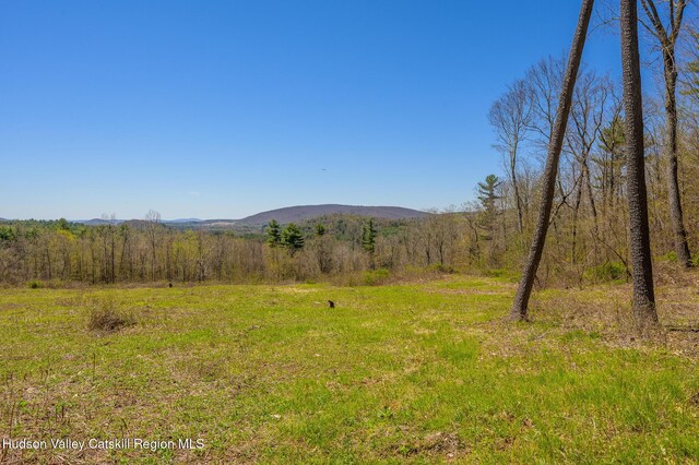 0 Mitchell St, Hillsdale, NY 12529 - photo 21