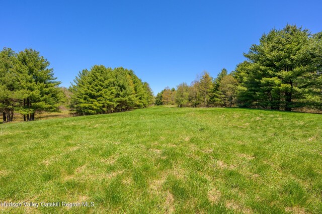 0 Mitchell St, Hillsdale, NY 12529 - photo 9