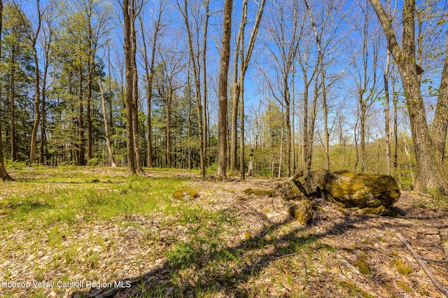 0 Mitchell St, Hillsdale, NY 12529 - photo 24
