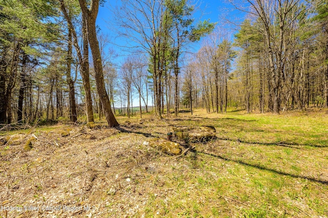 0 Mitchell St, Hillsdale, NY 12529 - photo 20