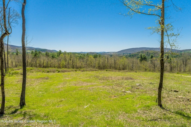 0 Mitchell St, Hillsdale, NY 12529 - photo 3