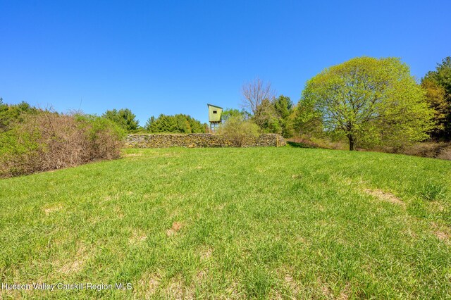 0 Mitchell St, Hillsdale, NY 12529 - photo 11