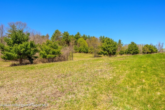 0 Mitchell St, Hillsdale, NY 12529 - photo 14