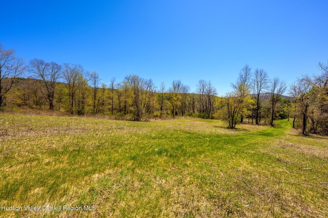 0 Mitchell St, Hillsdale, NY 12529 - photo 10