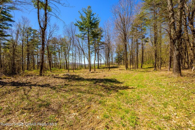 0 Mitchell St, Hillsdale, NY 12529 - photo 26