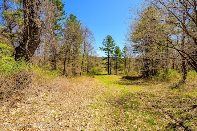 0 Mitchell St, Hillsdale, NY 12529 - photo 27
