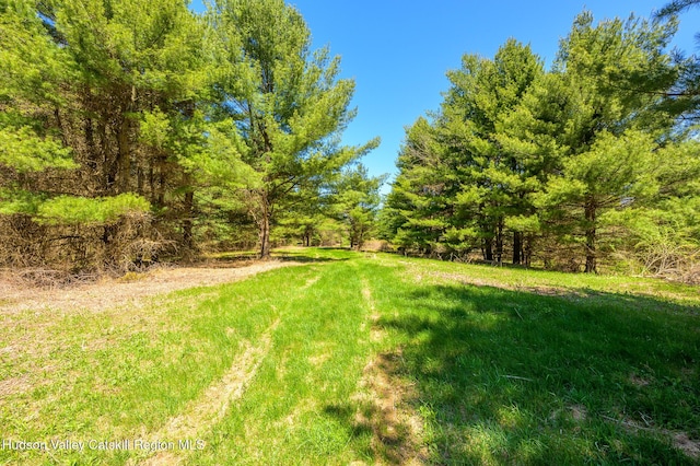 0 Mitchell St, Hillsdale, NY 12529 - photo 8