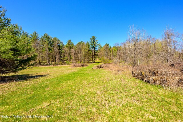0 Mitchell St, Hillsdale, NY 12529 - photo 16