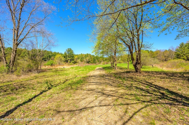 0 Mitchell St, Hillsdale, NY 12529 - photo 6
