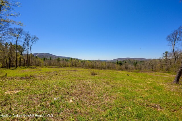0 Mitchell St, Hillsdale, NY 12529 - photo 4