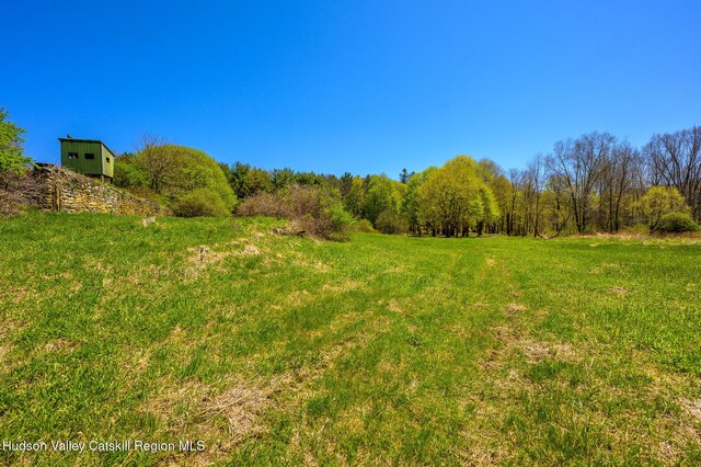 0 Mitchell St, Hillsdale, NY 12529 - photo 7