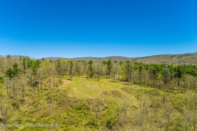 0 Mitchell St, Hillsdale, NY 12529 - photo 5