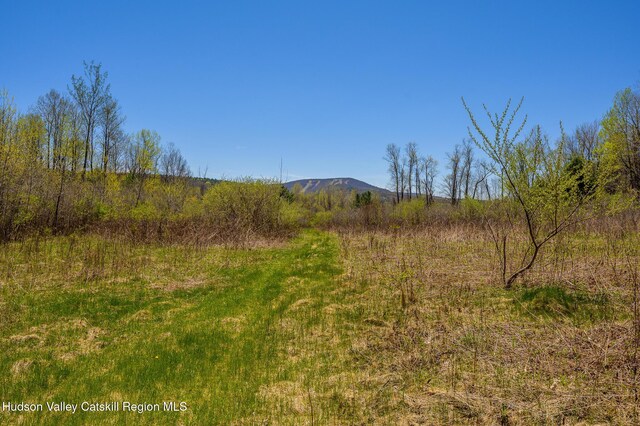 0 Mitchell St, Hillsdale, NY 12529 - photo 17