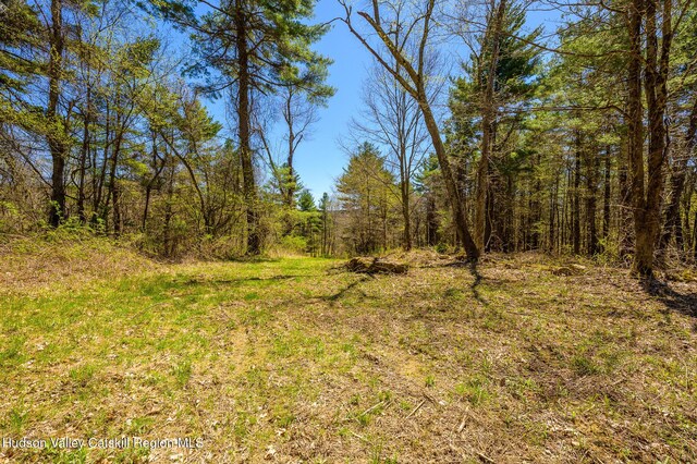 0 Mitchell St, Hillsdale, NY 12529 - photo 25